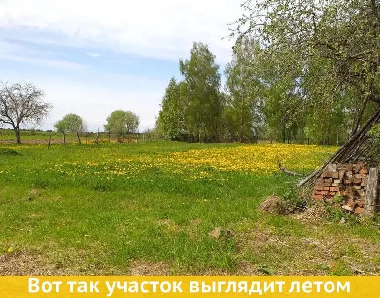 Продается участок 29 соток Парсуково, ул. Колхозная. - Фото 1