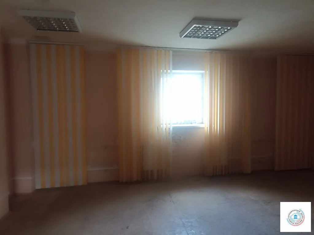 Помещение свободного назначения, 265.4 м - Фото 6