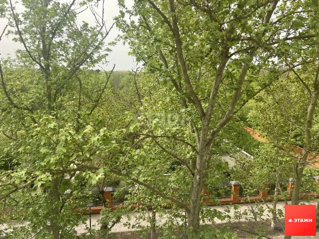 Продажа квартиры, Саки, ул. Курортная - Фото 5