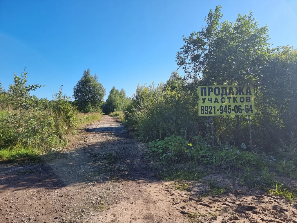 Продажа участка, Большие Пороги, Всеволожский район - Фото 13