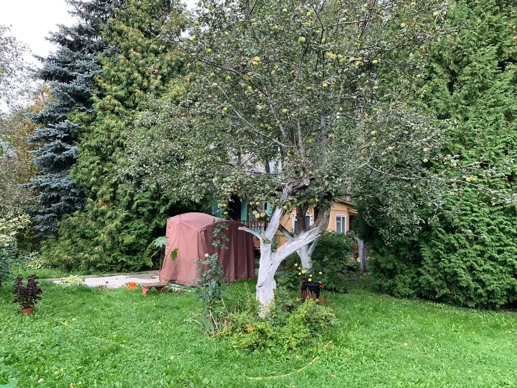 Купить Дачу В Снт Садовод Матвеевка Новосибирск