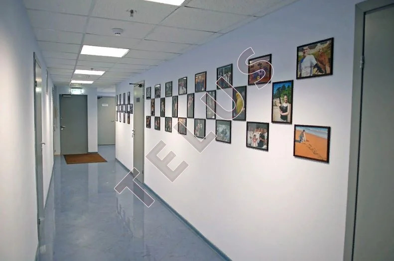 м. Савеловская, ул. Складочная, 7400 м2, Продажа Бизнес Центра (ном. ... - Фото 9