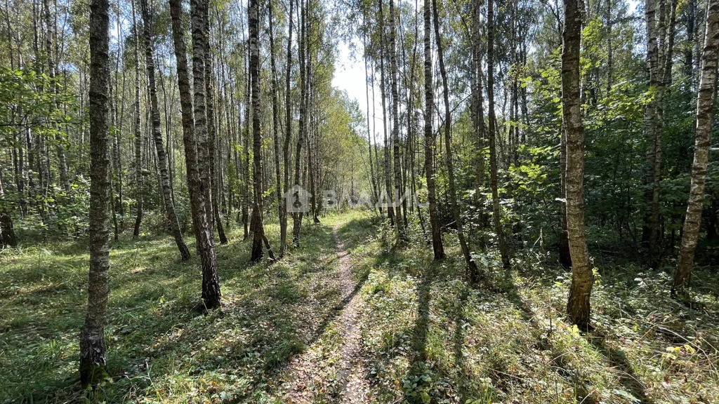 городской округ Серпухов, СНТ Ланьшино,  земля на продажу - Фото 10