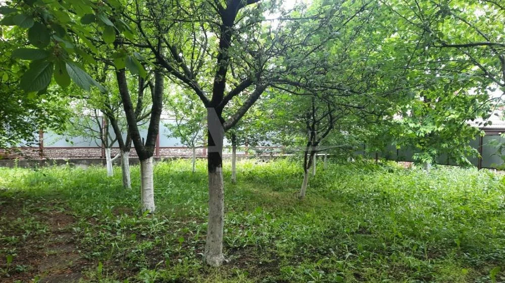 Продажа дома, Иноземцево, ул. Пролетарская - Фото 17