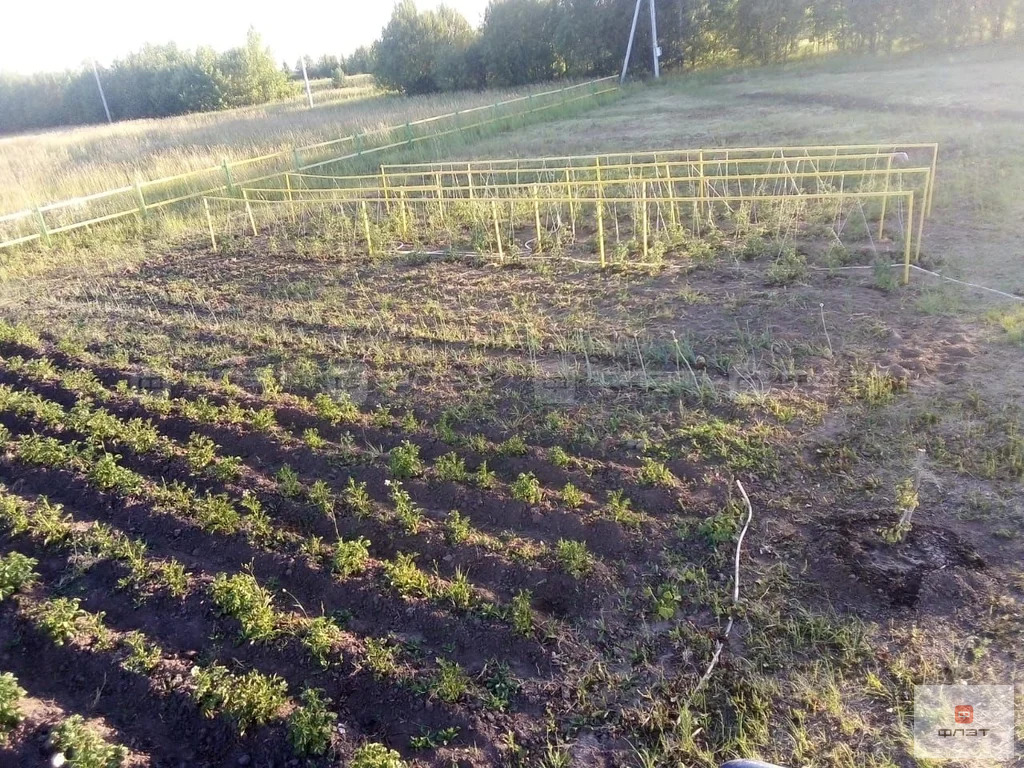 Продажа участка, Большой Салтан, Рыбно-Слободский район, дом 279 - Фото 10