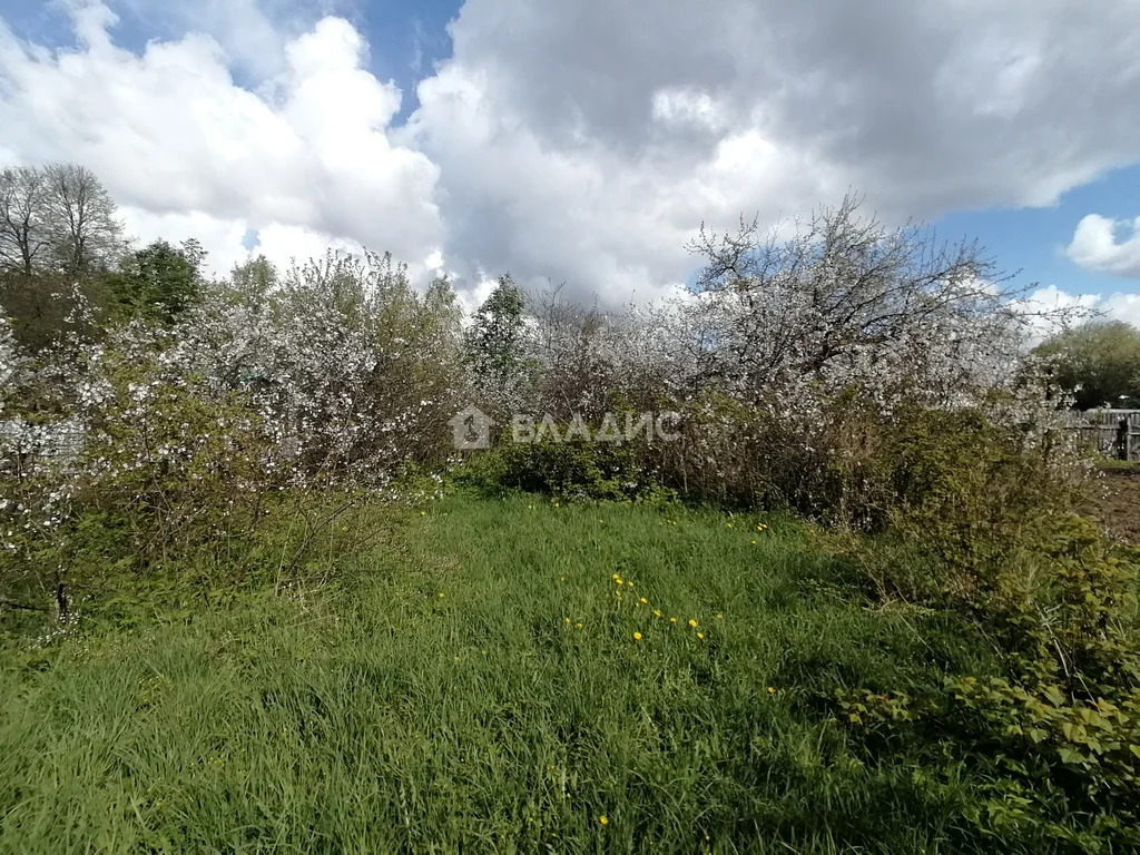 Суздальский район, село Добрынское, Пионерская улица,  дом на продажу - Фото 26