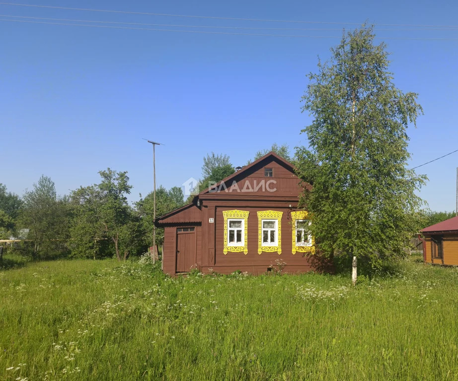 Погода в торчино владимирская область. Село Торчино фото.