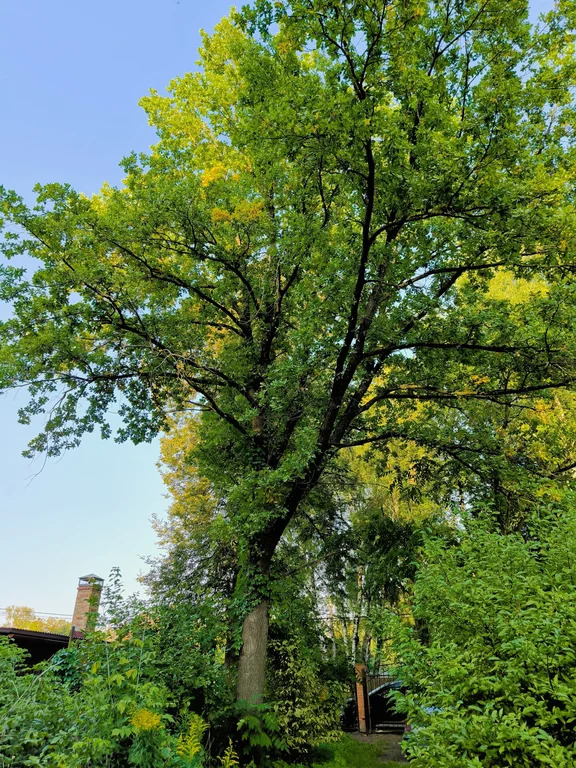 Продажа участка, Загорянский, Щелковский район, ул. Наречная - Фото 4