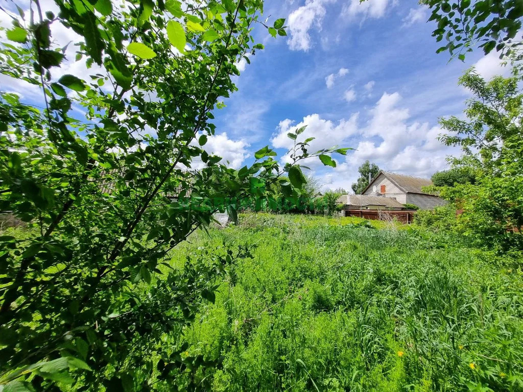 Продажа участка, Ивановка, Балаковский район, Сельхозтехникум ул. - Фото 3