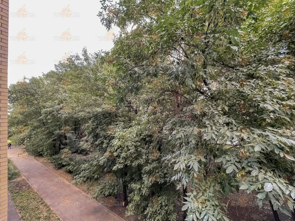 2-комн. квартира - Фото 17