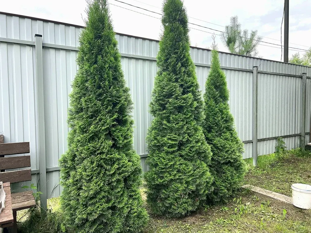 Дом в селе Саввино - Фото 28