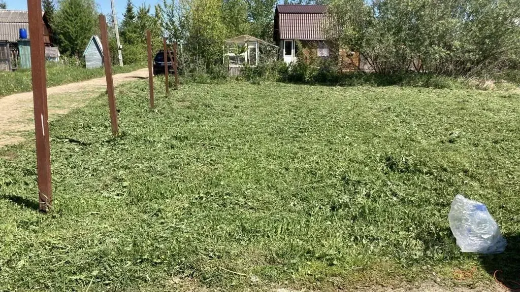 7 соток в д. Мошницы, СНТ Возрождение - Фото 9