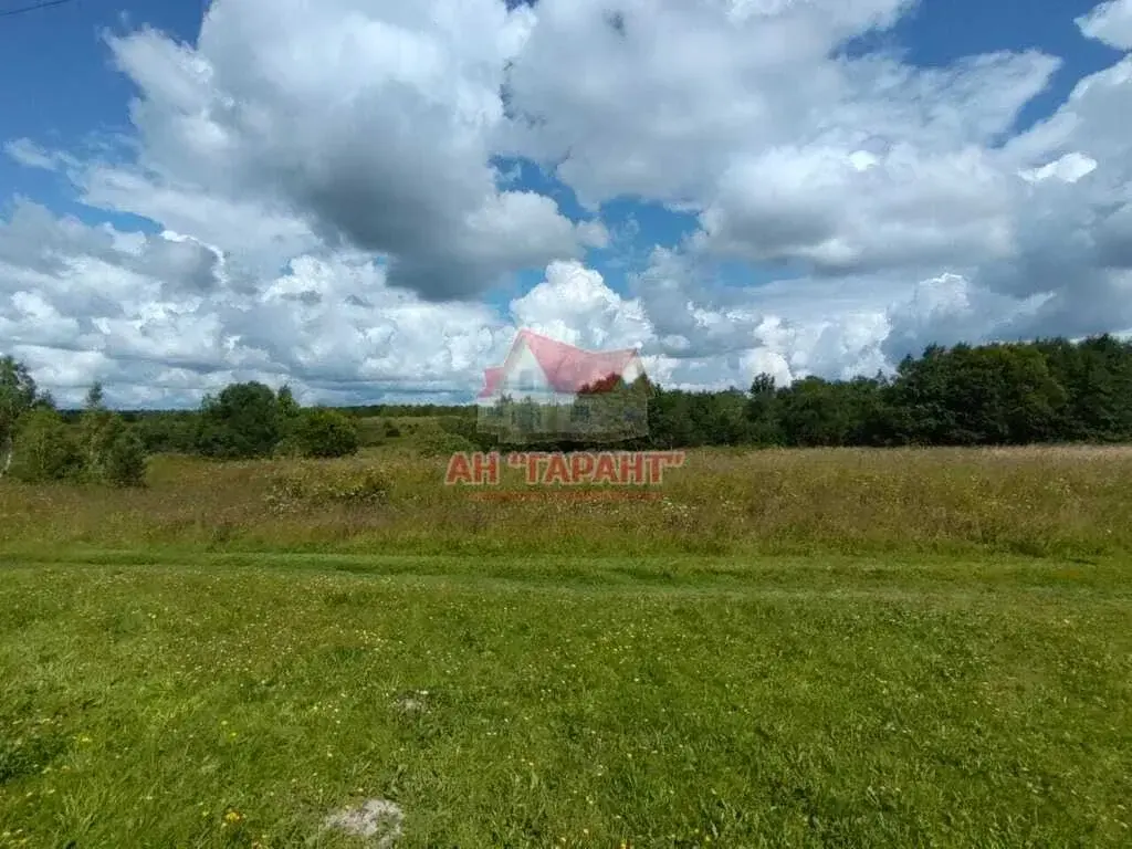 Дом в д.Буньково Александровский р-н Владимирская обл. - Фото 32