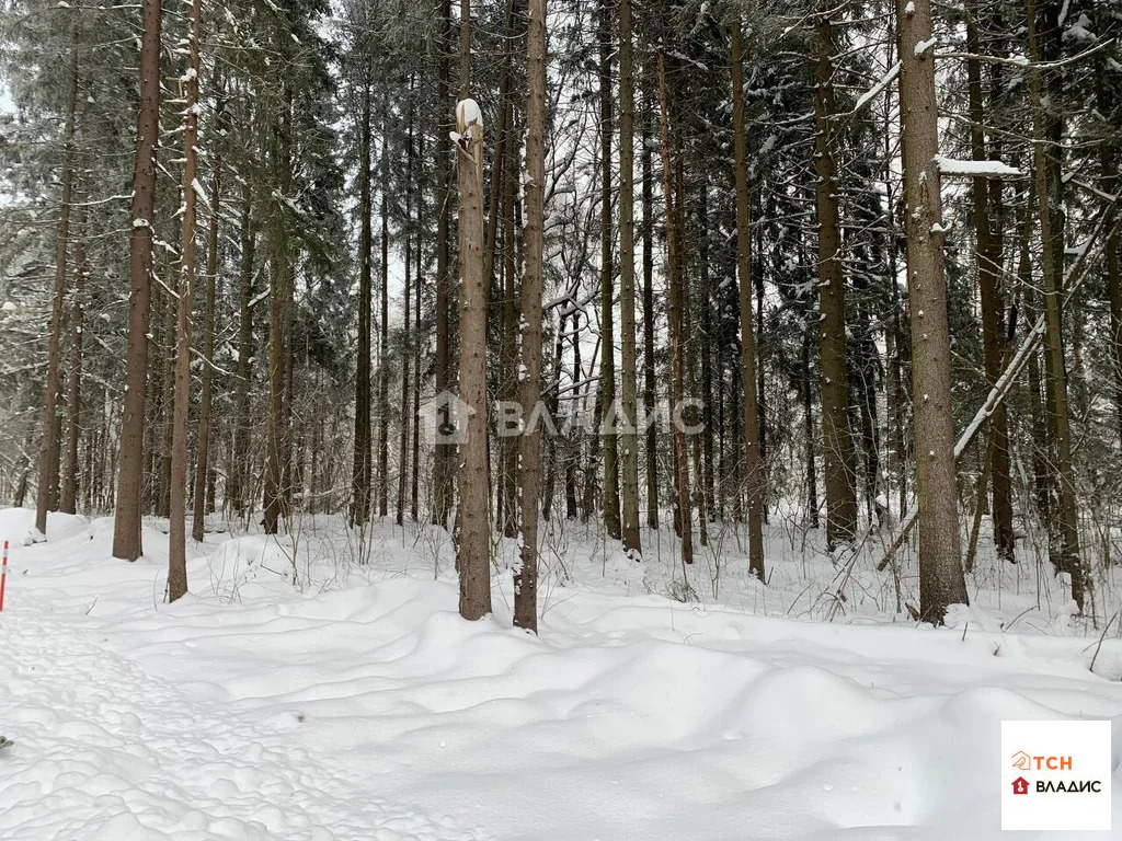 Продажа участка, Сазонки, Дмитровский район - Фото 0