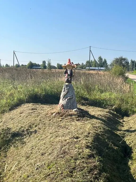 Земельный участок 11,62 сотки в д. Сотское - Фото 1