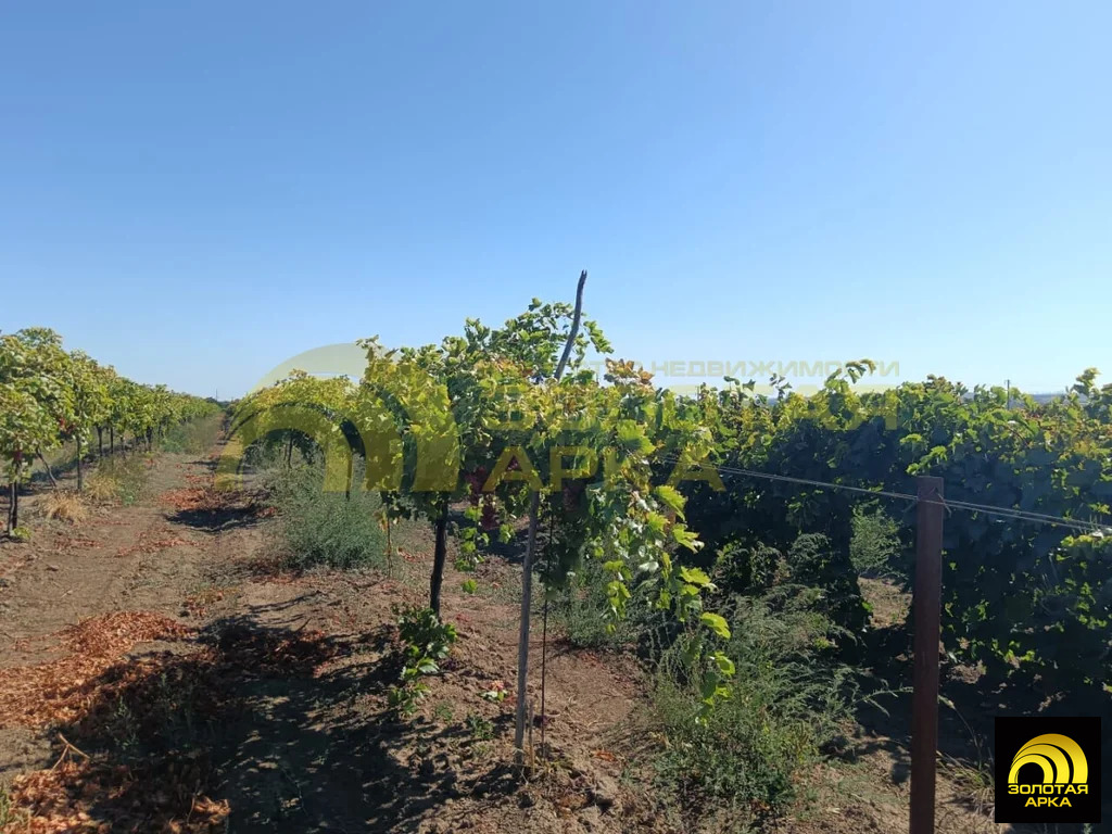 Продажа участка, Старотитаровская, Темрюкский район, Ильича пер. - Фото 10