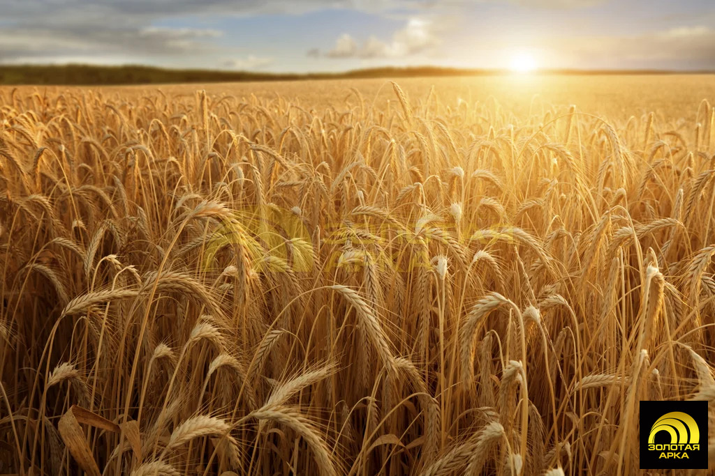 Продажа участка, Сенной, Темрюкский район - Фото 1