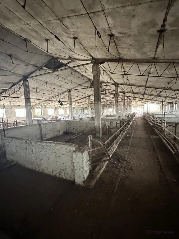 Продажа производственного помещения, Раздольное, Новоалександровский ... - Фото 12