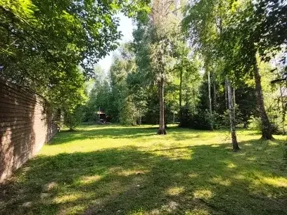 Участок 20 сот. (СНТ, ДНП) - Фото 20