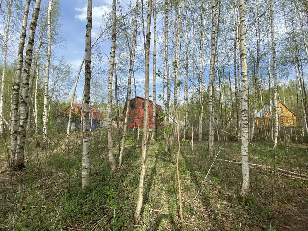 Продажа участка, Дмитровский район - Фото 3
