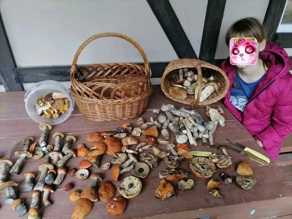 Продажа дома 100 кв.м. на участке 25 сот. - Фото 10