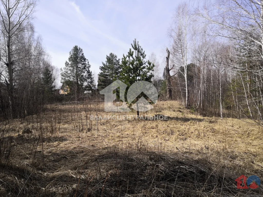 Новосибирский район, поселок Бибиха,  земля на продажу - Фото 0