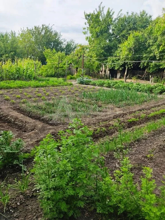 Продажа дома, Горькая Балка, Советский район, ул. Гагарина - Фото 16