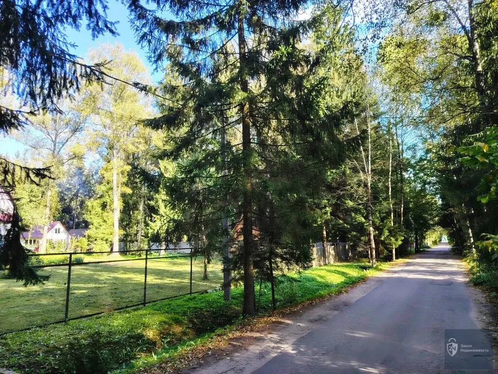 Обжитой стародачный поселок  Фрунзевец. 30 км от МКАД по Киевскому ш. - Фото 10