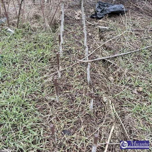 Продажа участка, Батайск, Урожайная улица - Фото 3