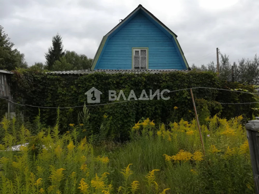 Городской округ Бор, деревня Марково, дом на продажу - Фото 6