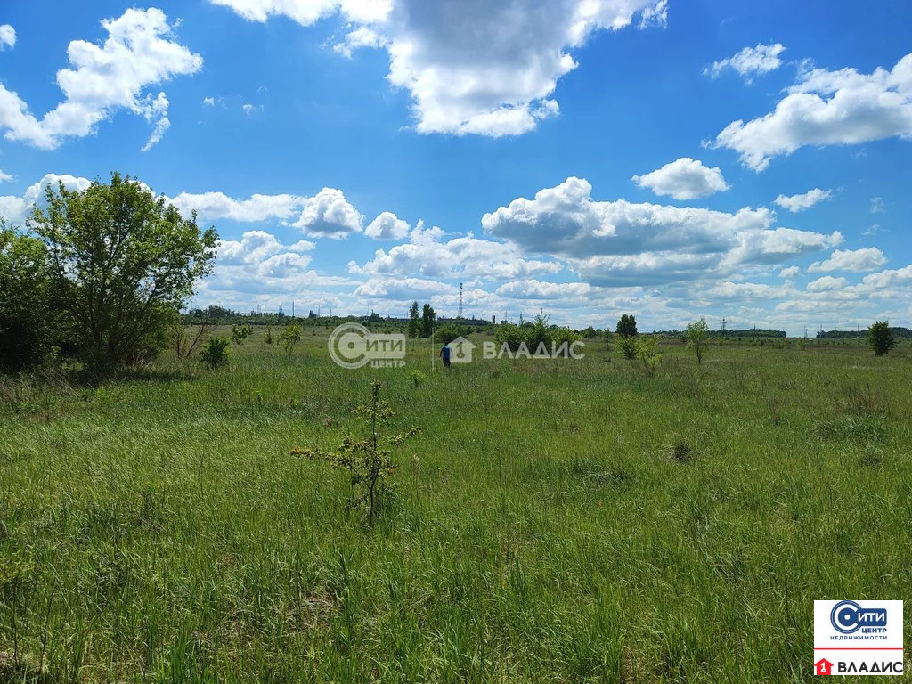 Продажа участка, Ендовище, Семилукский район, ул. Красный Кут - Фото 1