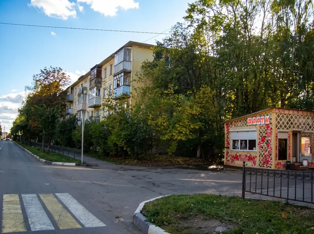Продается 2-комнатная квартира Чехов, ул. Молодежная, 12 - Фото 13