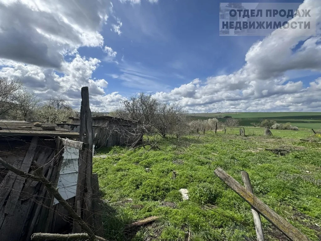 Дом с большим участком - Фото 14