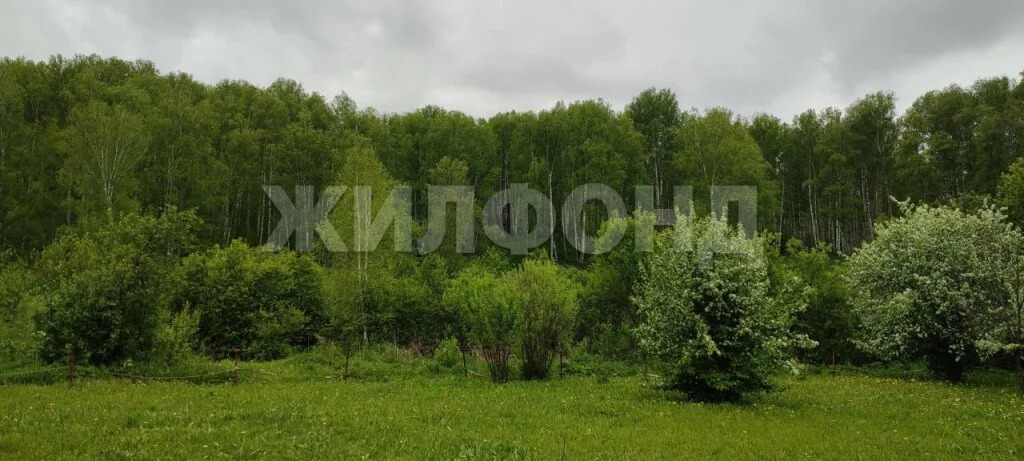 Продажа дома, Новосибирск - Фото 4