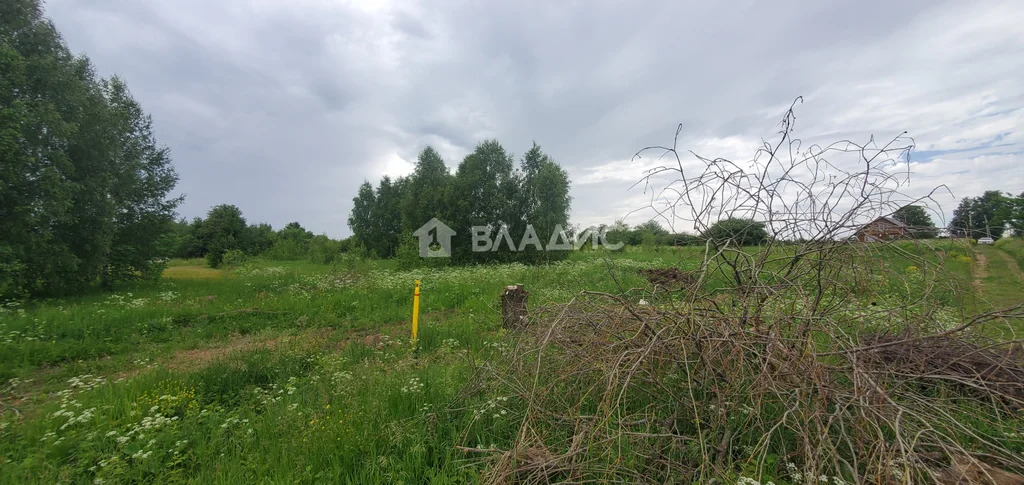 Суздальский район, деревня Багриново,  земля на продажу - Фото 2