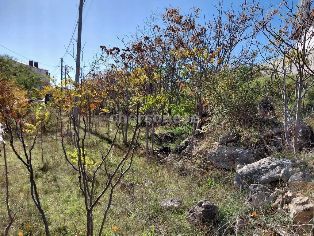 Продажа участка, Севастополь, ул. Парковая - Фото 7