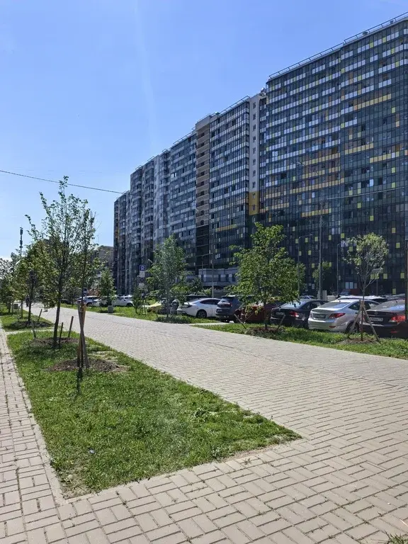аренда 1к. квартиры: собственник не в спб / дети + / животные + - Фото 1