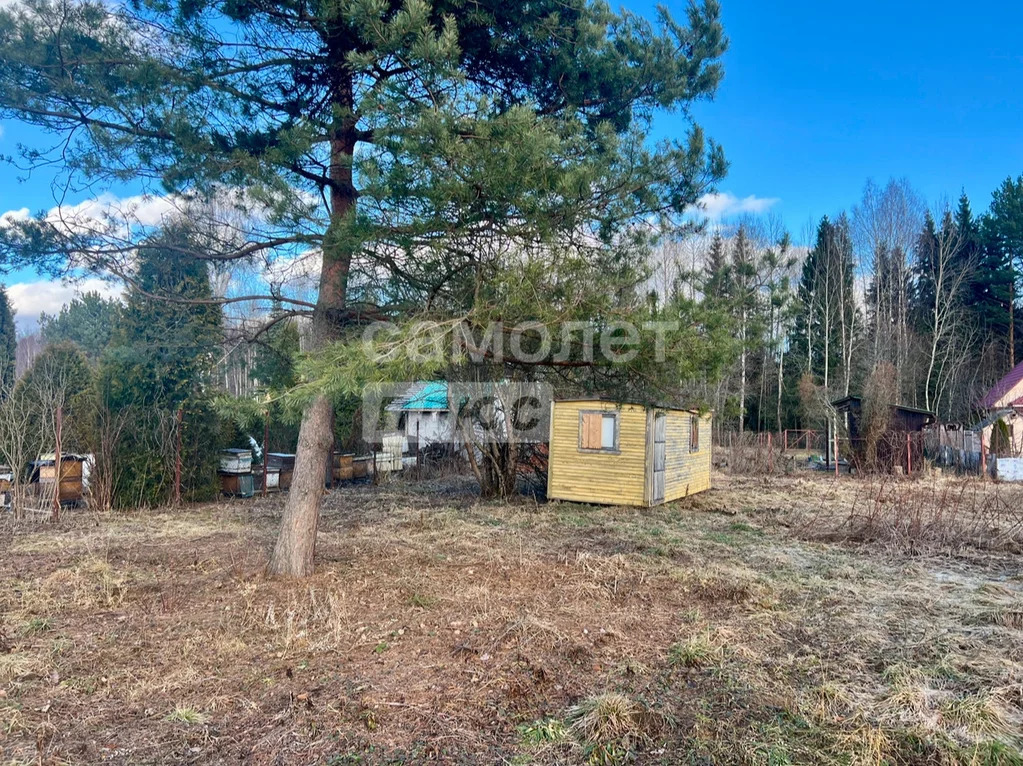 Продажа участка, Талдомский район, Журавли тер. СНТ. - Фото 1