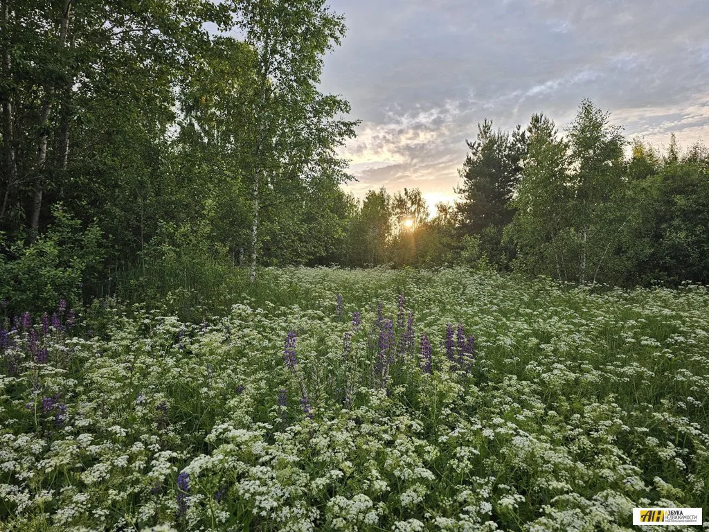 Продажа участка, Карабаново, Богородский г. о. - Фото 8