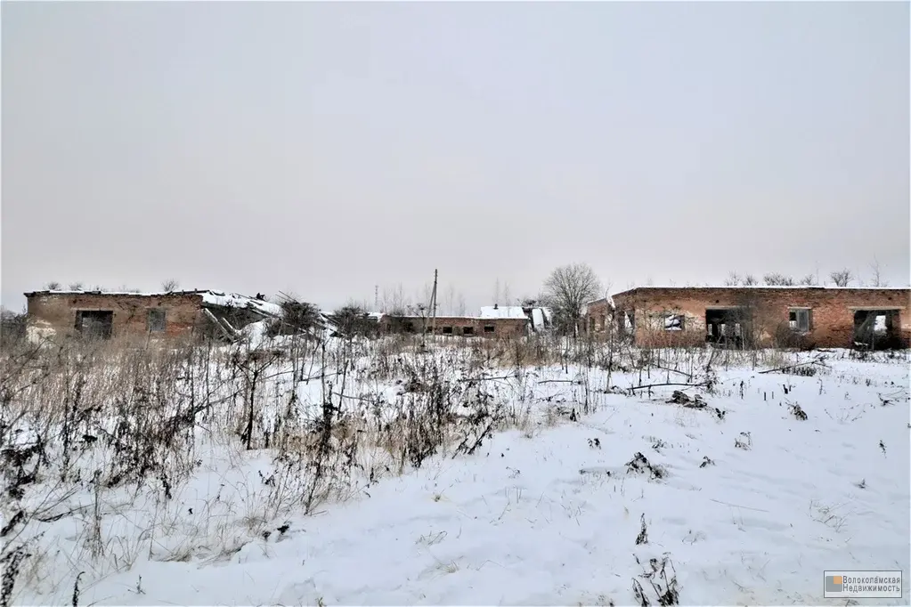 Здание коровника площадью 3150 кв.м на земельном участке 1 Га - Фото 10