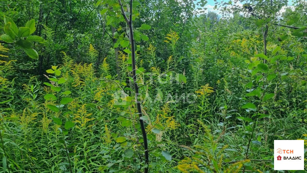 Продажа участка, Лесные Поляны, Пушкинский район - Фото 6