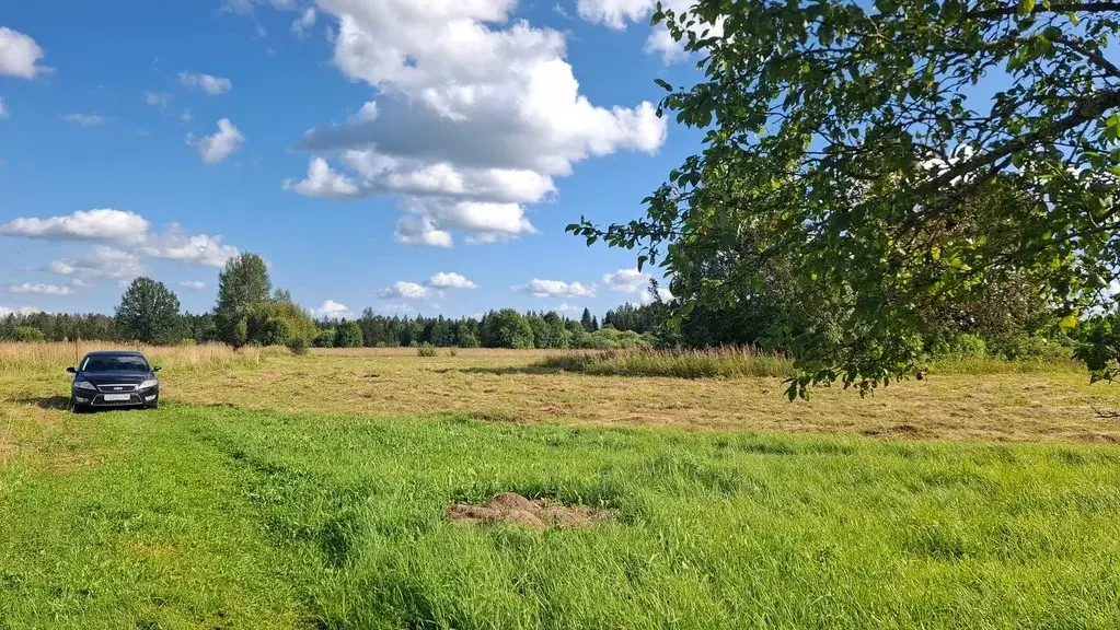 Добротный дом на хуторе под Псковскими Печорами, более 6-ти Га земли. - Фото 2
