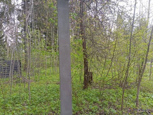 Продажа участка, Троица, Егорьевский район - Фото 3