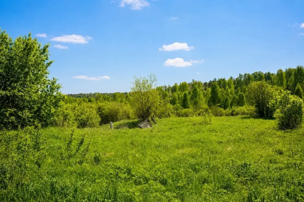 Дом по ул. Школьная - Фото 12