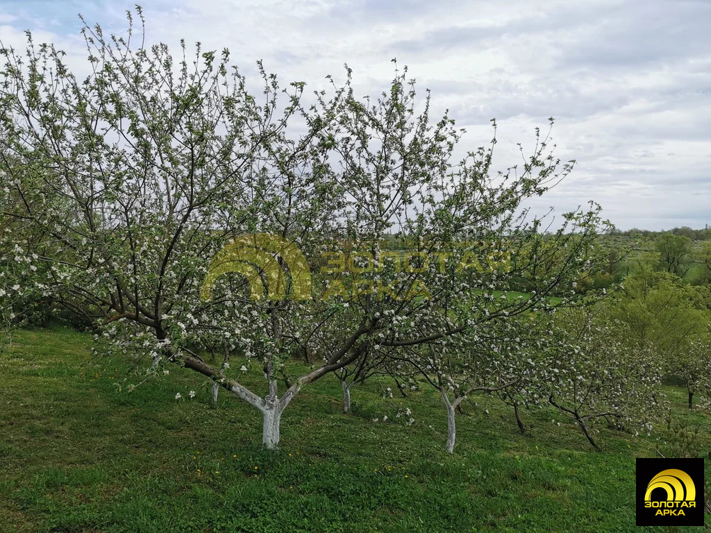 Продажа дома, Молдаванское, Крымский район, ул. Почтовая - Фото 36