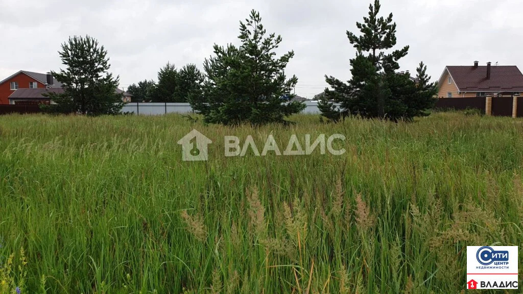 Продажа участка, Староживотинное, Рамонский район, Урожайная улица - Фото 9