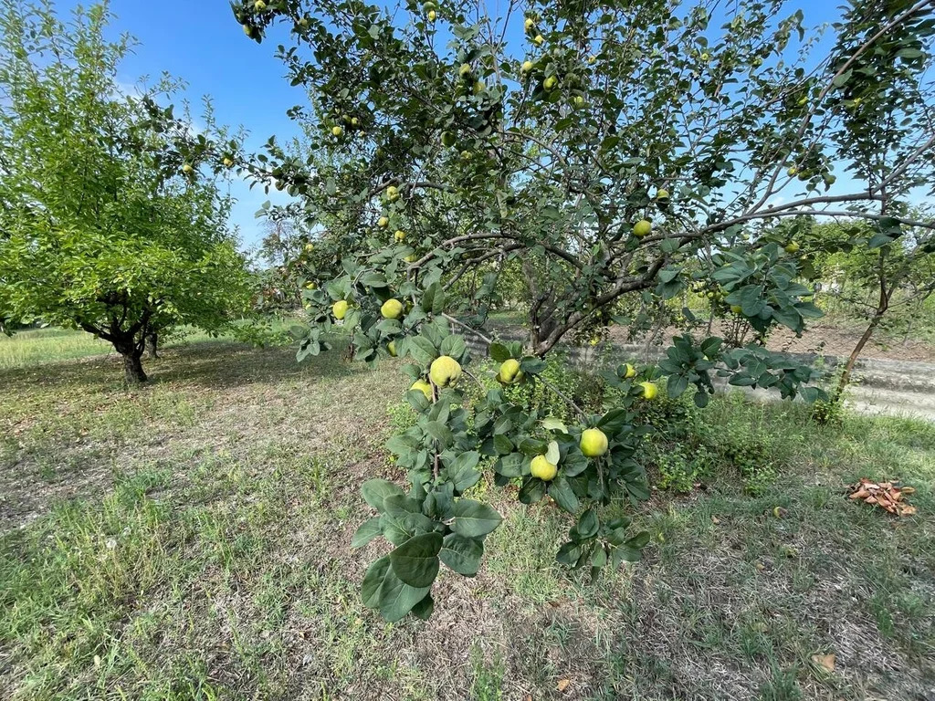 Продажа дома, Крымск, Крымский район, ул. Ермолаева - Фото 20