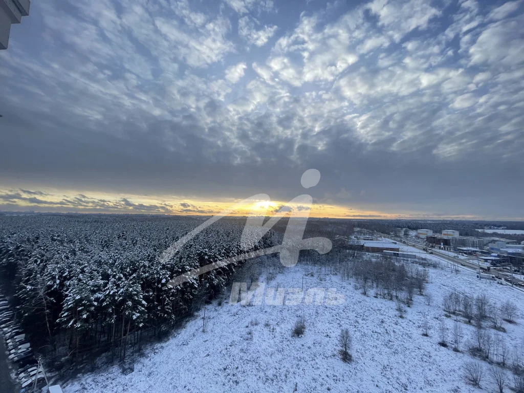 Продажа квартиры, Лобня, Юности ул. - Фото 20
