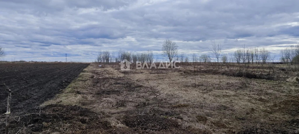 Суздальский район, село Семёновское-Красное, Зелёная улица,  земля на ... - Фото 1