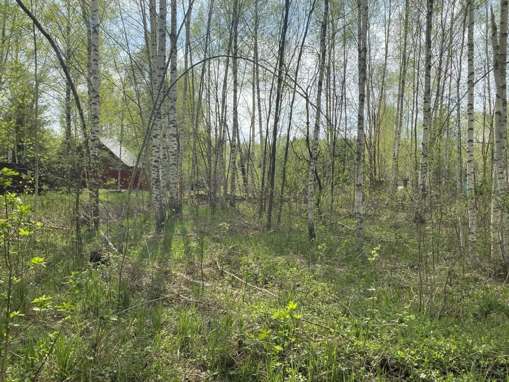 Продажа участка, Дмитровский район - Фото 5